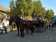 Szüreti vigadalom Perbetén