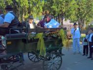 Szüreti vigadalom Perbetén