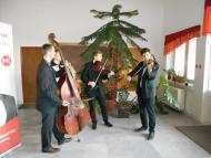 Csallóköz Kincsei a Csilizközben