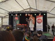 Fergeteges kampányrendezvény Királyhelmecen