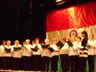 A szabadságharc emlékünnepe Nyárasdon