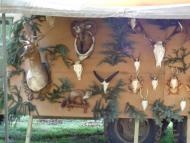 Falunapon jártunk Pozbán