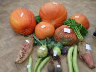 Szüreti vigadalom volt Muzslán