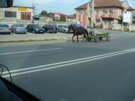 Erdélyi zarándoklat - képekben
