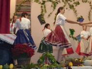 Szüreti ünnepség Bajtán