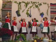 Szüreti ünnepség Bajtán