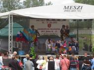 Falunapok Nemesócsán