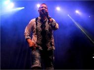 Csallóközaranyosi falunap