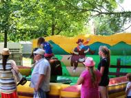 Csallóközaranyosi falunap