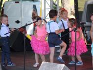 Csallóközaranyosi falunap