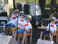 Csallóközaranyosi falunap