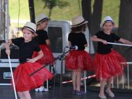 Csallóközaranyosi falunap