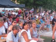 Járási Dal- és Táncünnepély Kolozsnémán