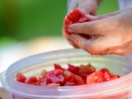 Ipoly menti lecsőfőző vigasságok