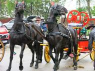 Szent Flórián ünnepe Bősön