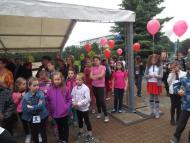 Megnyílt a 40. Duna Menti Tavasz