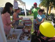 Családi piknik Ekecsen