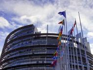 Strasbourg, Európai Parlament, tanulmányút