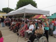 Falunap Szentpéteren