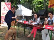 III. Martosi Szabadegyetem