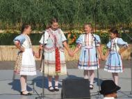 Falunap Martoson