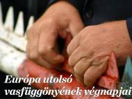 Színház és képkiállítás a szelmenci határon