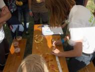 Őstermelői piacot szervezett Szepsiben a Via Nova