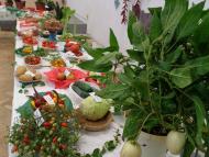 Szüreti vigadalom Muzslán