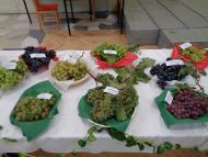 Szüreti vigadalom Muzslán