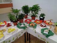 Szüreti vigadalom Muzslán