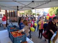 Európai Mobilitási Hét Párkányban