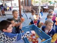 Európai Mobilitási Hét Párkányban