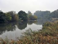 Királyrévben hivatalosan is átadták a felújított útszakaszt